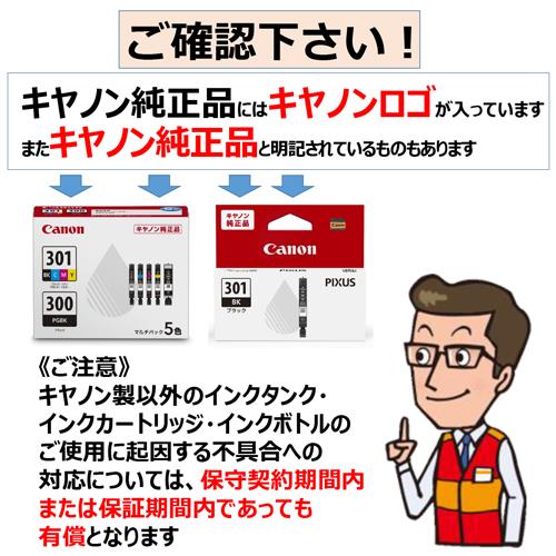 Canon 純正インクBCI-301+300/5MP