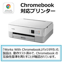 Canon PIXUSTS5430WH A4 インクジェット複合機 PIXUS（ピクサス）【プリンター/ホワイト/コピー/スキャン/4色インク】 |  ノジマオンライン