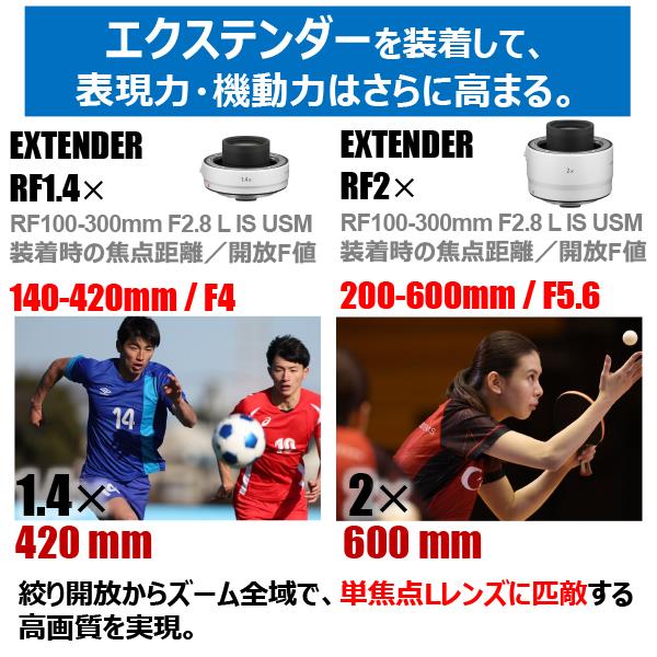 Canon RF100-300LIS 【大口径】【望遠】交換レンズ 望遠ズーム