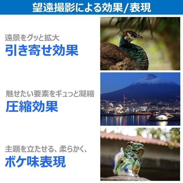 CANON 交換用レンズ RF75-300mm F4-5.6 RF75-300 | ノジマオンライン