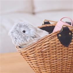 カシオ AIペット Moflin（モフリン） コミュニケーションロボット