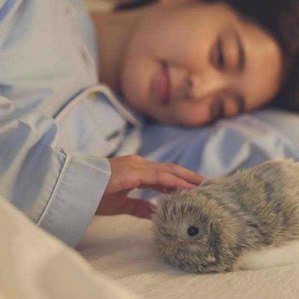 カシオ AIペット Moflin（モフリン） コミュニケーションロボット