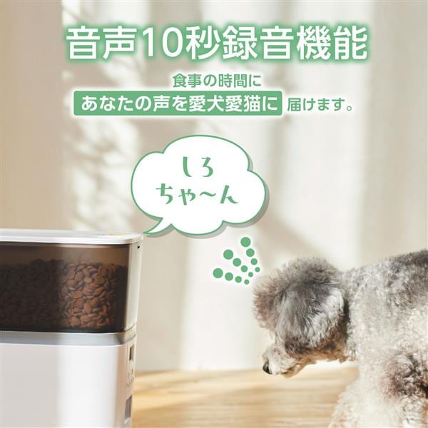 ELECOM 自動給餌器【猫/中小型犬/4L/1匹用/録音可/タイマー式/1日6食