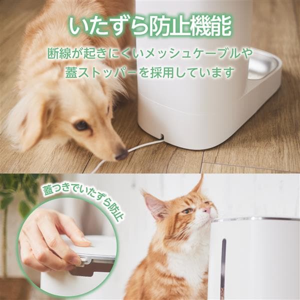 ￼オートフィーダー　PET-AF03WH ペット用タイマー式自動給餌器 1皿タイプ - PET-AF03WH