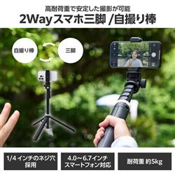 ELECOM P-STCFWL01BK