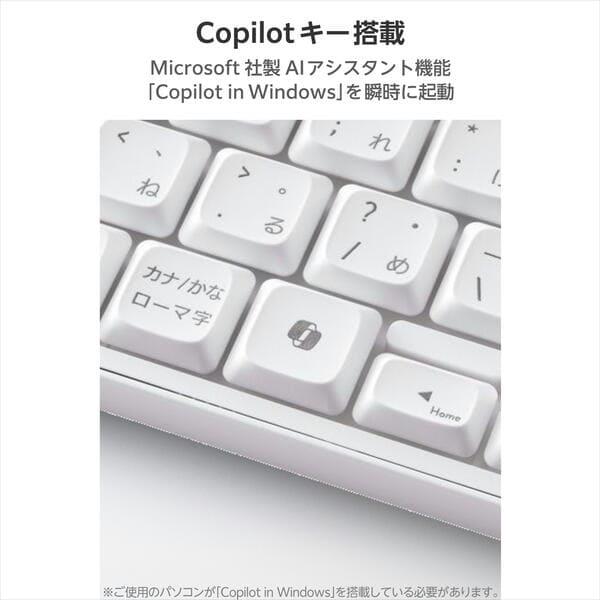 希少 ELECOM キーボード エミュレーター JC-AD2 希少 ELECOM キーボード エミュレーター JC-AD2 希少 ELECOM