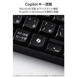 ELECOM 有線キーボード 静音 テンキー付き 日本語配列 USB接続(USB-A