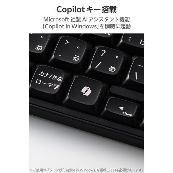 ELECOM ワイヤレスキーボード 静音 テンキーレス 2.4GHz無線 USB