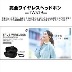 ELECOM LBT-TWS19BK