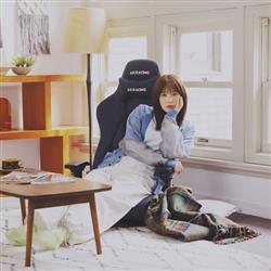 AKRacing 座椅子 Denimシリーズ【Gyokuza Denim/座椅子/インディゴ