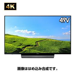 Panasonic TH-49GX855