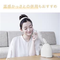 Panasonic EH-SA3C-N スチーマー ナノケア コンパクトタイプ 