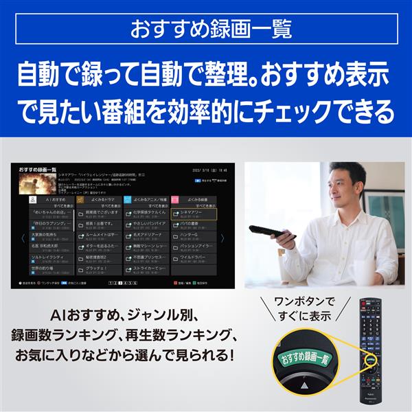 Panasonic DMR-2X302 ブルーレイディスクレコーダー 全自動DIGA