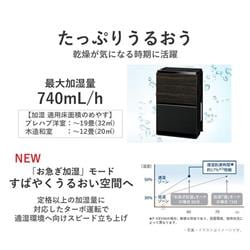 Panasonic 加湿空気清浄機 【適用畳数：～31畳/ナノイーX搭載/ F
