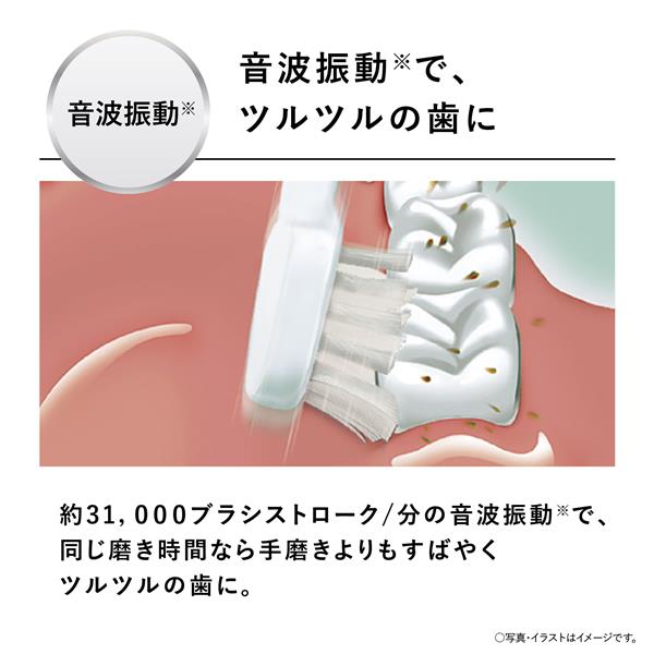 Panasonic EW-DM63-W 音波電動歯ブラシ Doltz(ドルツ) スリム