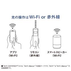 4549980695333_1.jpg