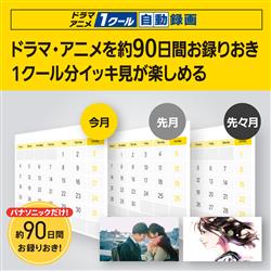 Panasonic DMR-4T103 ブルーレイディスクレコーダー DIGA Panasonic DMR-4T103 ブルーレイディスクレコーダー DIGA