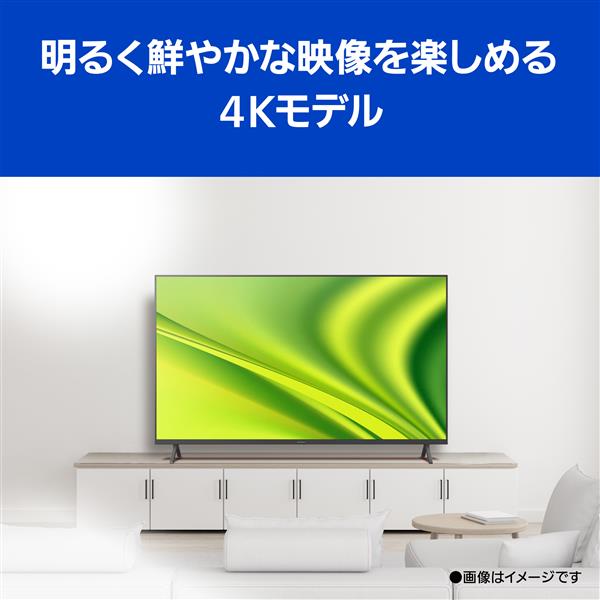 人気シリーズVIE新品未開封 パナソニック ビエラ 55V TH-55MX800 4K液晶 レグザ