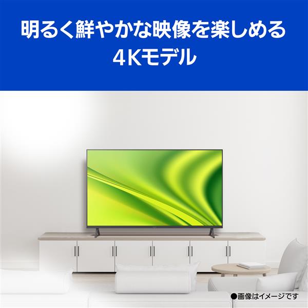 Panasonic TH-50MX800 4K液晶テレビ VIERA(ビエラ)【50V型/BS・CS 4K