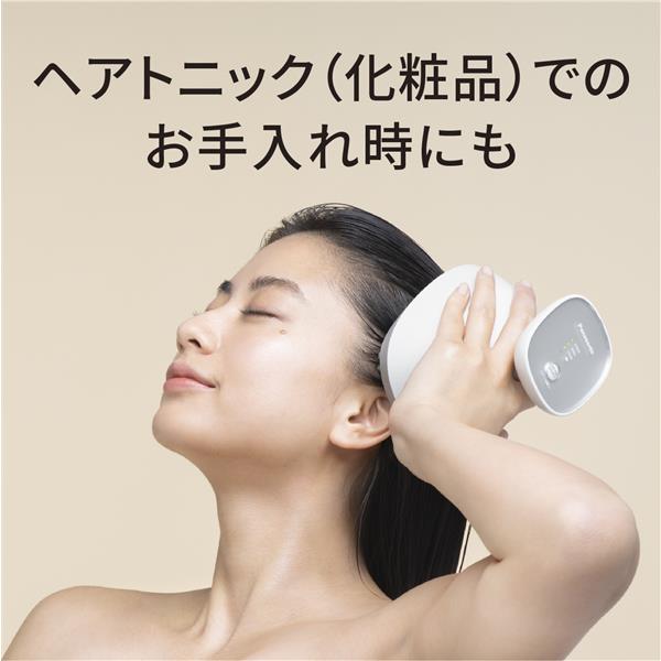 Panasonic EH-HE0J-S 頭皮エステ 【スパイラル＆スライド/リフト