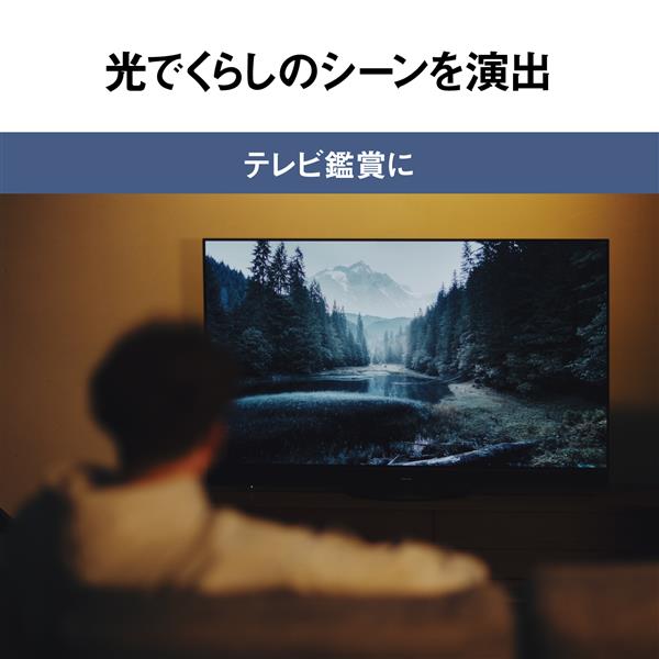 概要 パルック LEDシーリングライト ライフコンディショニング
