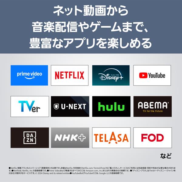 Panasonic 4K有機ELテレビ VIERA(ビエラ)【55V型/有機EL】 TH-55LW2L