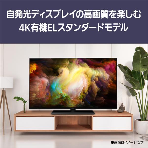 Panasonic TV-48Z85A 4K有機ELテレビ VIERA(ビエラ)【48V型/有機EL/FireOS搭載】 | ノジマオンライン