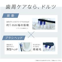 Panasonic EW-DA48 電動歯ブラシ 本体 パナソニック Panasonic 電動歯ブラシ ［ドルツ /音波振動式