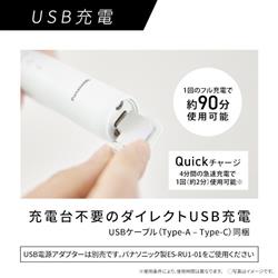 Panasonic 音波電動歯ブラシ ドルツ EW-DA18-W | ノジマオンライン
