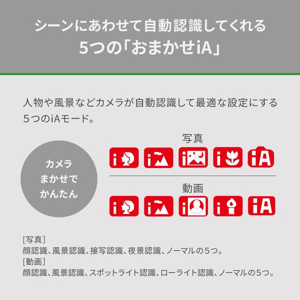 Panasonic デジタル4Kビデオカメラ 手ブレ補正 4K広角撮影 あとから