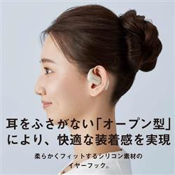 Panasonic RB-F10D-C