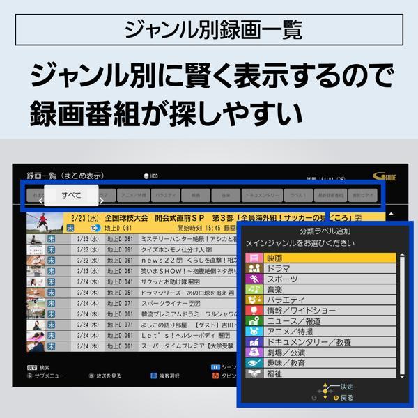 Panasonic ブルーレイディスクレコーダーDIGA(ディーガ) 1TBHDD内蔵