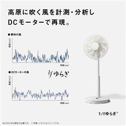 Panasonic 扇風機 F-C339B-W なめらか気流9枚羽根 Panasonic F-C339B-W パナソニック リモコン付き 30cm DC