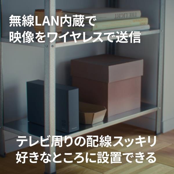 レコーダー Panasonic miyotto UN-ST20A-H 2TB 楽天市場】【公式店】パナソニック ネットワークレコーダー ミヨット