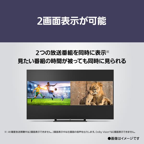 ★セール中★【画面割れ】Panasonic ビエラ 液晶テレビ 65V型 4K 概要 4K有機ELテレビ TV-65Z95A | テレビ（ビエラ） | Panasonic