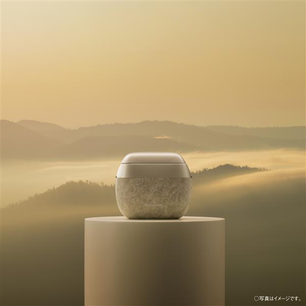 Panasonic ラムダッシュ パームイン70Th 5枚刃 限定 金 ES-PV70-N