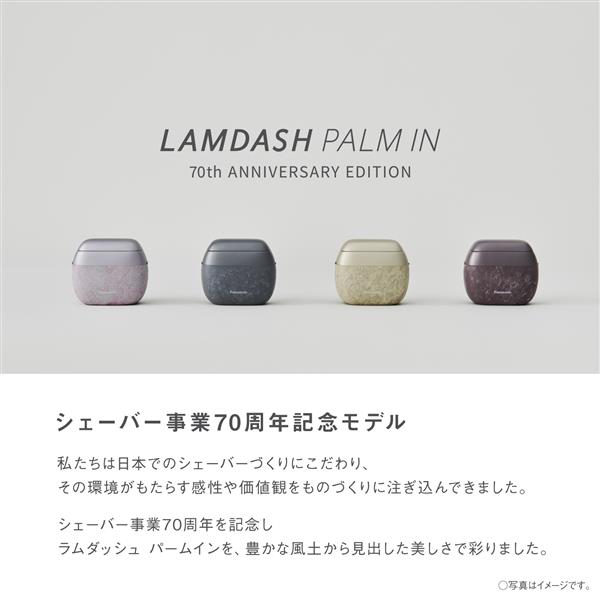 Panasonic ラムダッシュ パームイン70Th 5枚刃 限定 金 ES-PV70-N