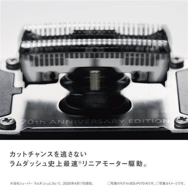 Panasonic ラムダッシュ パームイン70Th 5枚刃 限定 金 ES-PV70-N
