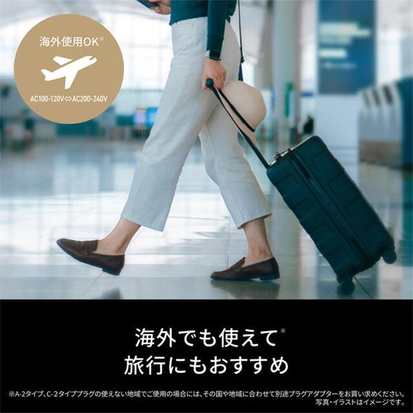 Panasonic エアスタイラー ナノケア 海外・国内両用 ノーブルグレー EH