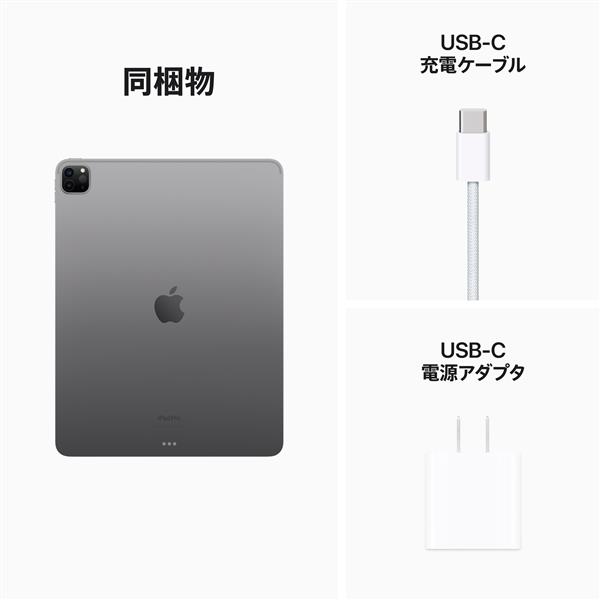 2022 Apple 12.9インチiPad?Pro スペースグレイ 256GB Wi-Fi, 第6世代 -