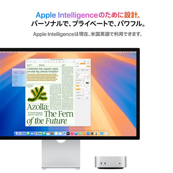 Apple MU9E3J-A Macmini/10コアCPUと10コアGPUを搭載したAppleM4
