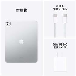 iPad Pro シルバー 本体 11インチiPad Pro Wi-Fi 256GB - シルバー（第4世代）[整備済製品