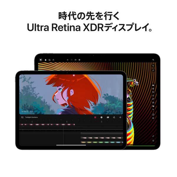 Apple iPad Pro【13インチ/第7世代/Wi-Fi+Cellular/512GB/スペース