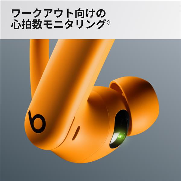 Beats MX743PAA PowerBeats Pro2 完全ワイヤレスイヤホン ノイズ