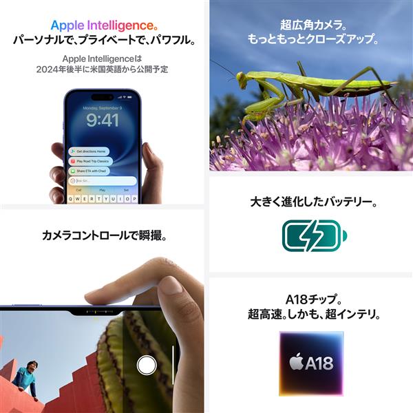 Apple MXVD3J-A iPhone 16 Plus 128GB ピンク | ノジマオンライン