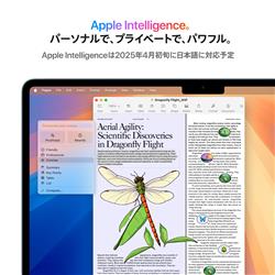 Apple 13インチMacBook Air: 10コアCPUと10コアGPUを搭載したApple M4
