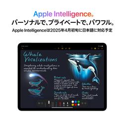 Apple 13インチiPad Air Wi-Fiモデル 128GB - スペースグレイ MCNH4J-A