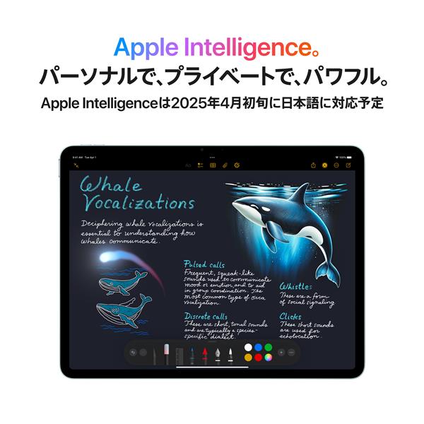 Apple 13インチiPad Air Wi-Fiモデル 128GB - ブルー MCNJ4J-A