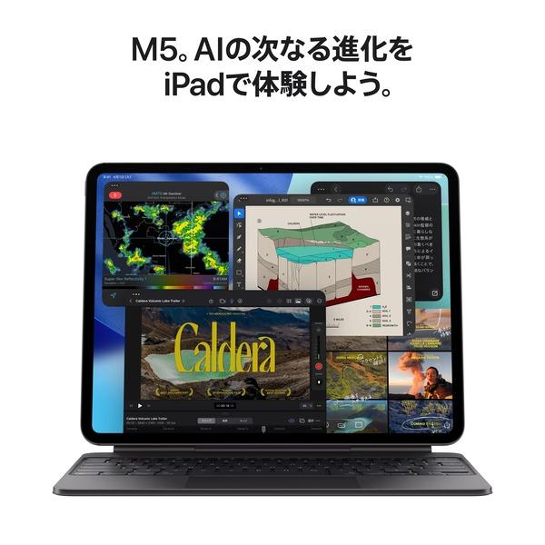 Apple 11インチiPadProWi-Fiモデル 256GB(標準ガラス搭載)スペース