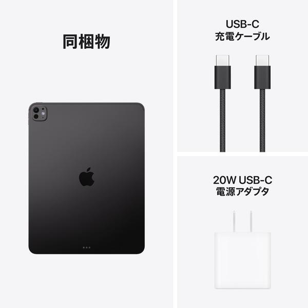 Apple 11インチiPadProWi-Fiモデル 1TB(標準ガラス搭載)スペース